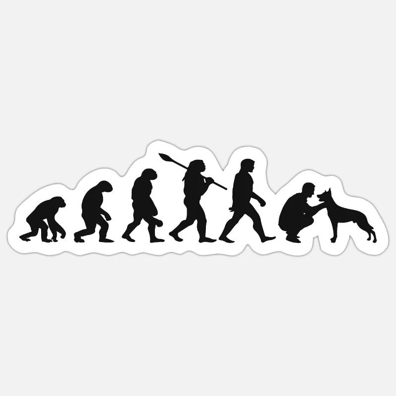 Evolution Lustiger Belgischer Schäferhund Malinois Sticker Größe S (10 x 10 cm)