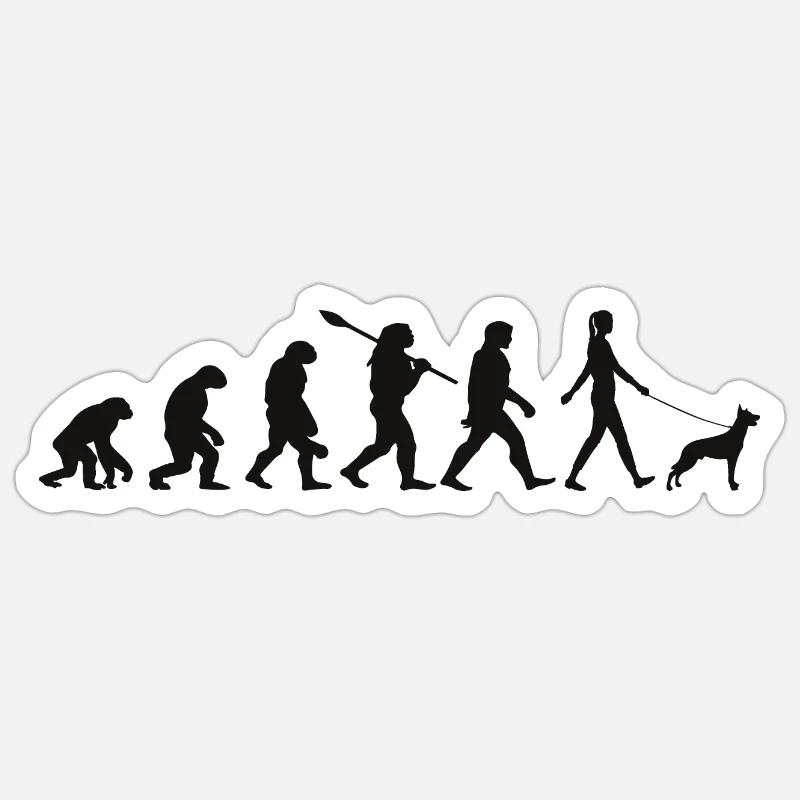 Evolution Lustiger Belgischer Schäferhund Malinois - Sticker Größe S (10 x 10 cm) - Mattweiß