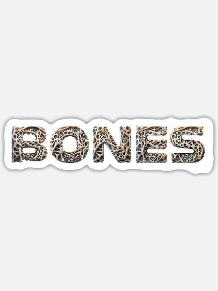 BONES knochen realistisch - Sticker Größe S (10 x 10 cm) - Mattweiß