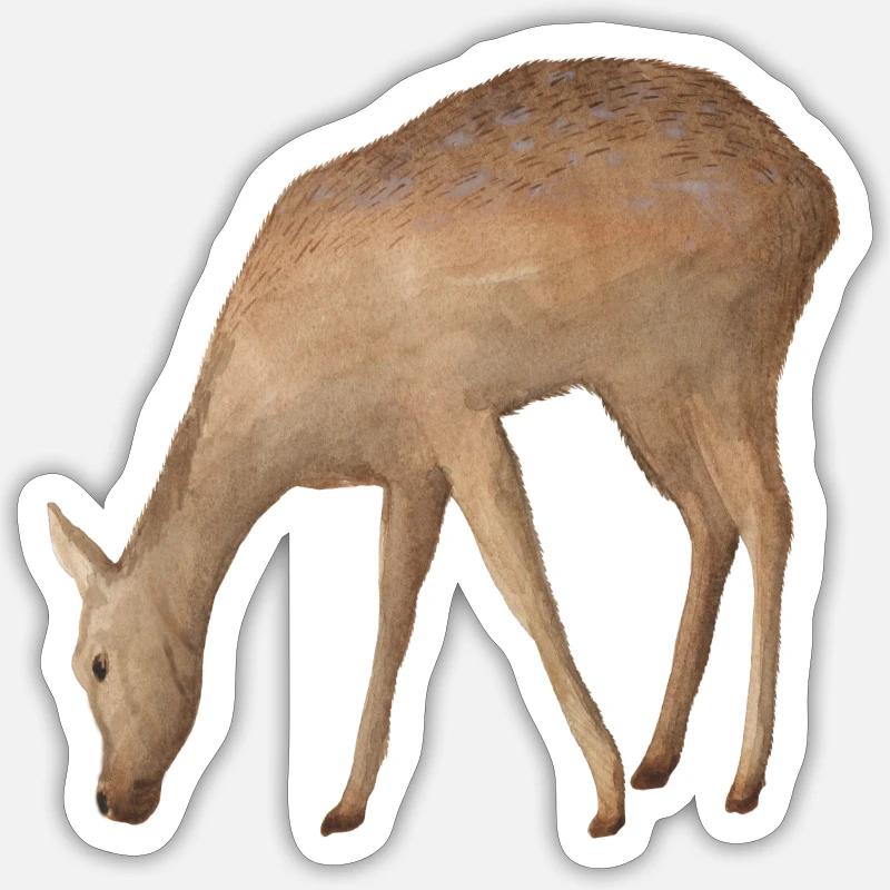 Roe deer - Sticker size S (10 x 10 cm) - white matte