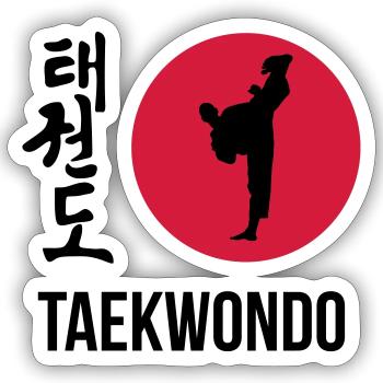 Taekwondo / Taekwondoin / Tae Kwo Do / Kampfkünste - Sticker Größe S (10 x 10 cm) - Mattweiß - Vorne