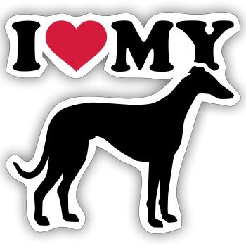 Italian Greyhound - Sticker size S (10 x 10 cm) - white matte - Front