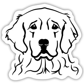 Golden Retriever - Sticker size S (10 x 10 cm) - white matte - Front