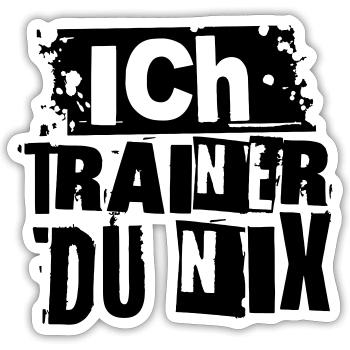 ICH TRAINER DU NIX - Sticker Größe S (10 x 10 cm) - Mattweiß - Vorne