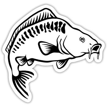 carpe - Sticker taille S (10 x 10 cm) - blanc mat - Devant