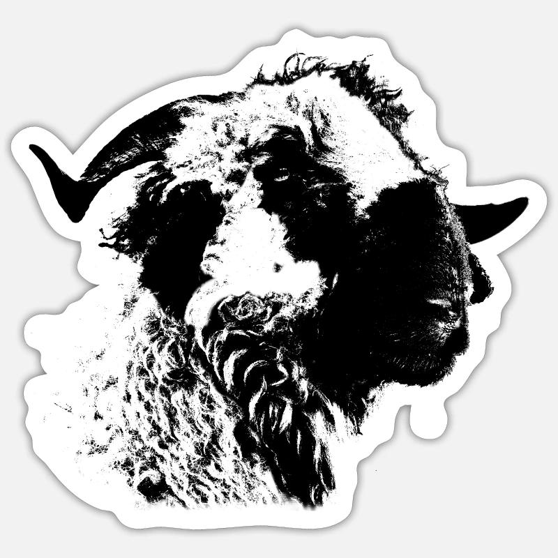 Walliser Schwarznasenschaf Sticker Größe S (10 x 10 cm)