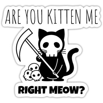 Funny cat - Sticker size S (10 x 10 cm) - white matte - Front