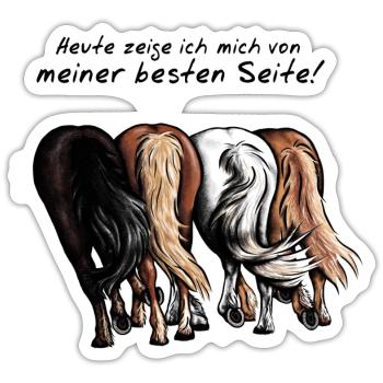 Beste Seite zeigen! - Sticker Größe S (10 x 10 cm) - Mattweiß - Vorne