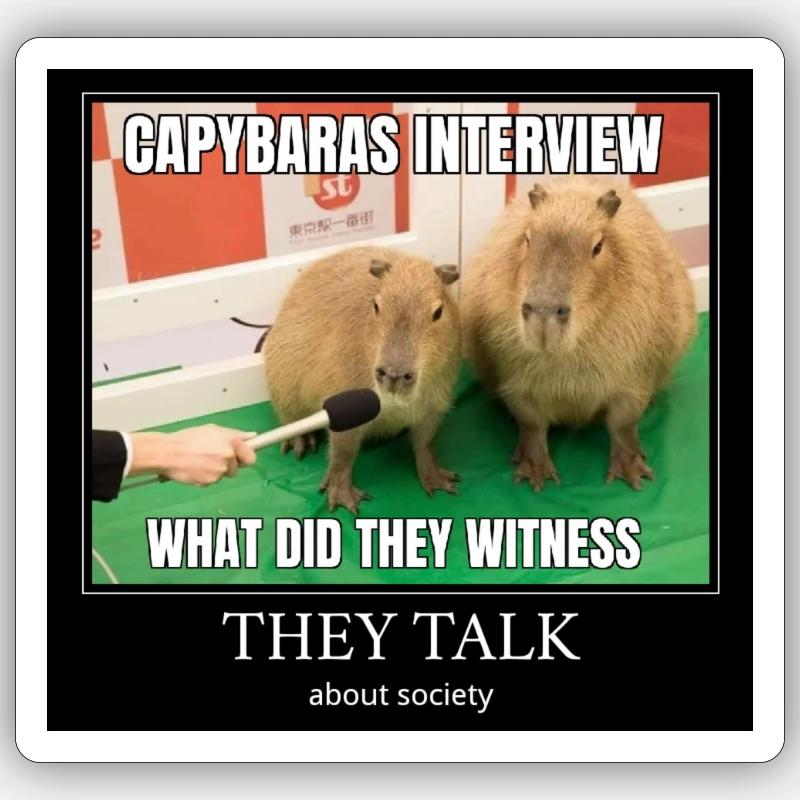 Capybara Interview meme - Sticker Größe S (10 x 10 cm) - Mattweiß