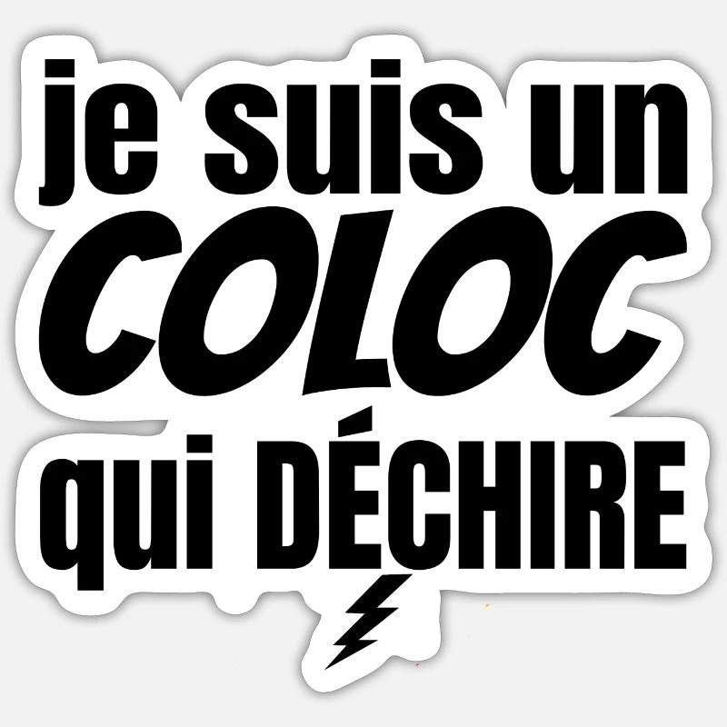 coloc qui déchire - Sticker taille S (10 x 10 cm) - blanc mat