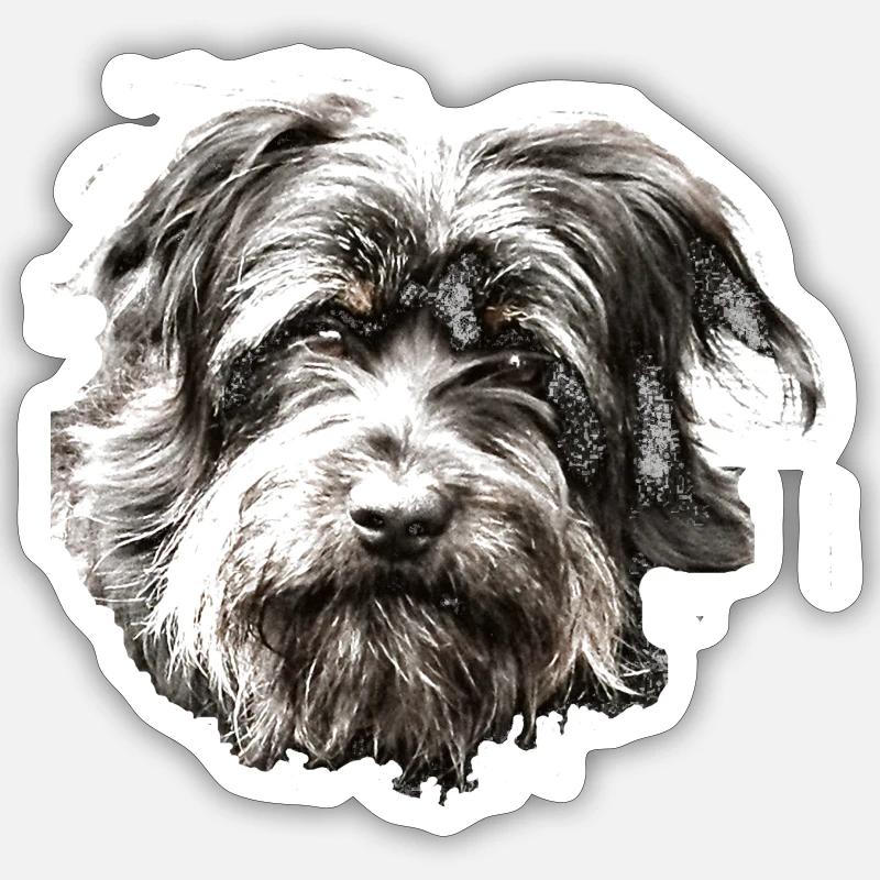 black cordy - Sticker Größe S (10 x 10 cm) - Mattweiß