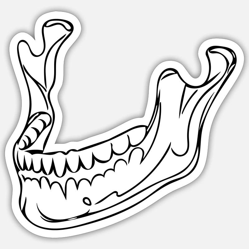 Kiefer Line Art - Minimalistisch - Sticker Größe S (10 x 10 cm) - Mattweiß