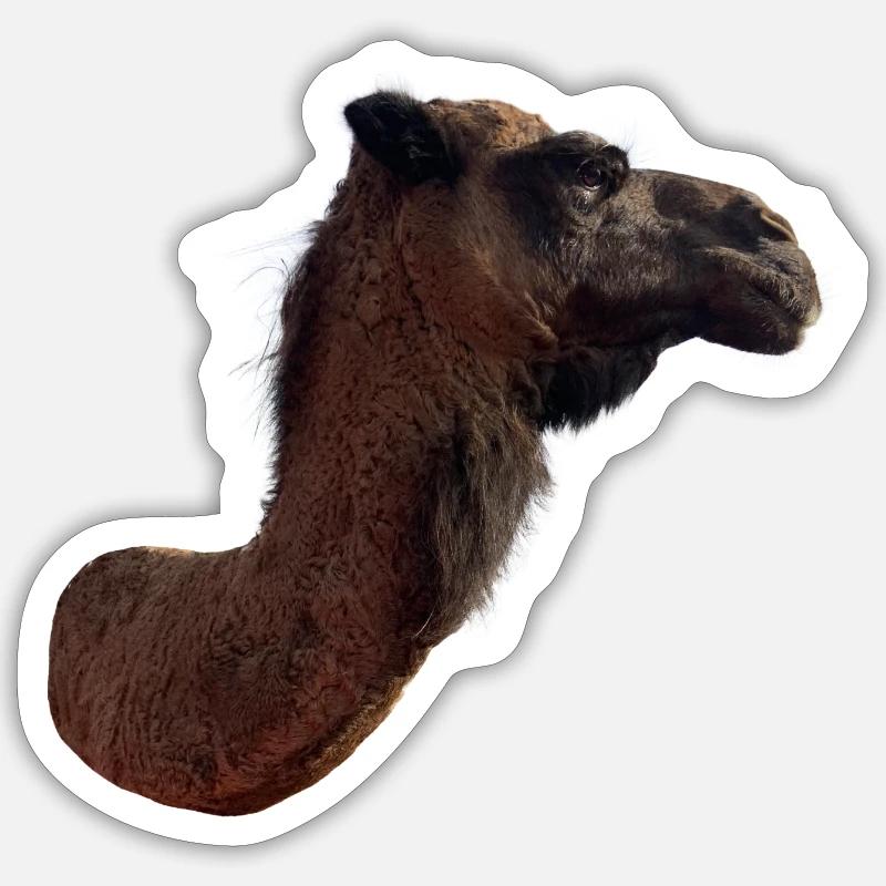 Camel - Sticker size S (10 x 10 cm) - white matte