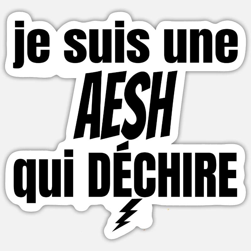 aesh qui déchire - Sticker taille S (10 x 10 cm) - blanc mat