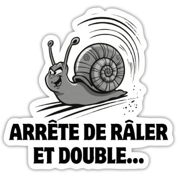 Führerschein, Schnecke, Geschwindigkeit - Sticker Größe S (10 x 10 cm) - Mattweiß - Vorne