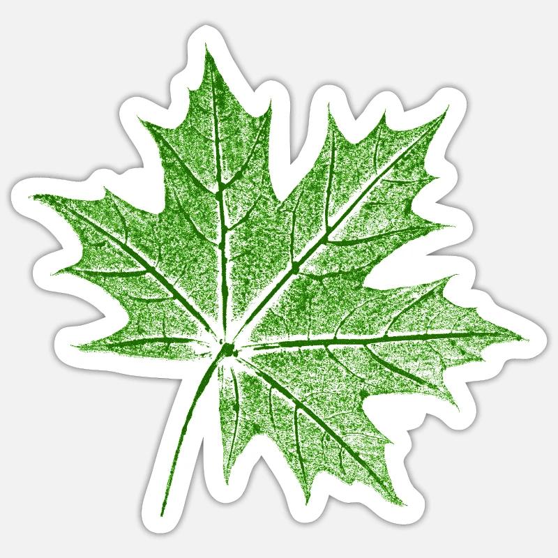 Érable feuillu / Feuille d’érable - Sticker taille S (10 x 10 cm) - blanc mat