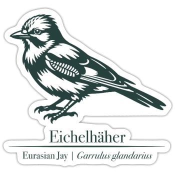 Jay Silhouette | Ornithologie | Dessin - Sticker taille S (10 x 10 cm) - blanc mat - Devant