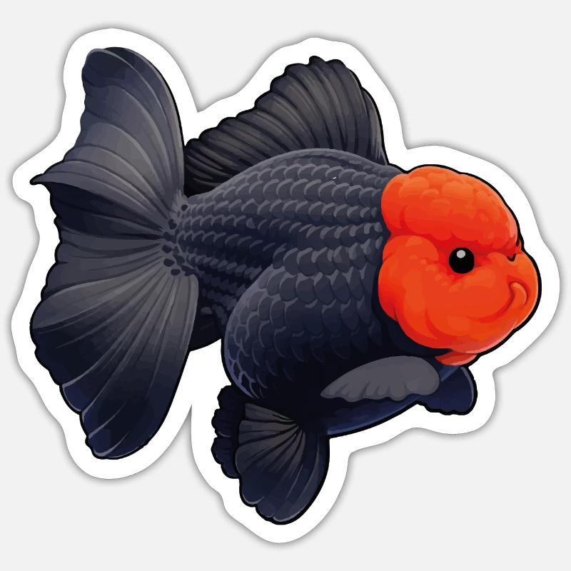 Grade Black Oranda with Red Head HQ Goldfish Sticker size S (10 x 10 cm)