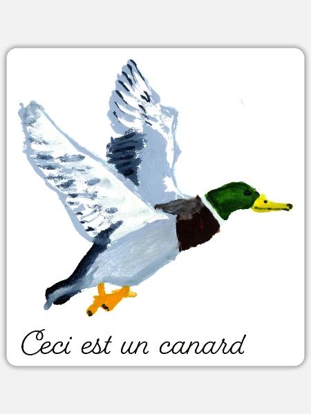 Ceci est un Canard - Sticker Größe S (10 x 10 cm) - Mattweiß