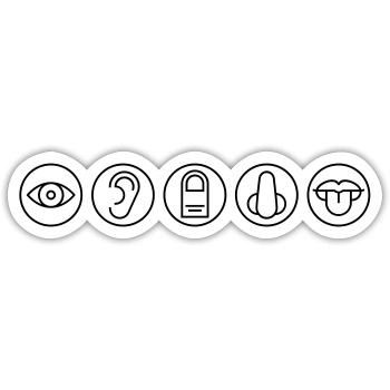 Five Senses, Sensory Organs, Medicine - Sticker size S (10 x 10 cm) - white matte - Front