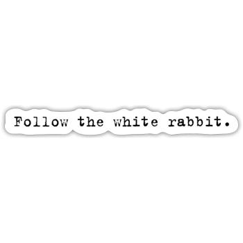 Follow the white rabbit Programming Computer Science - Sticker size S (10 x 10 cm) - white matte - Front