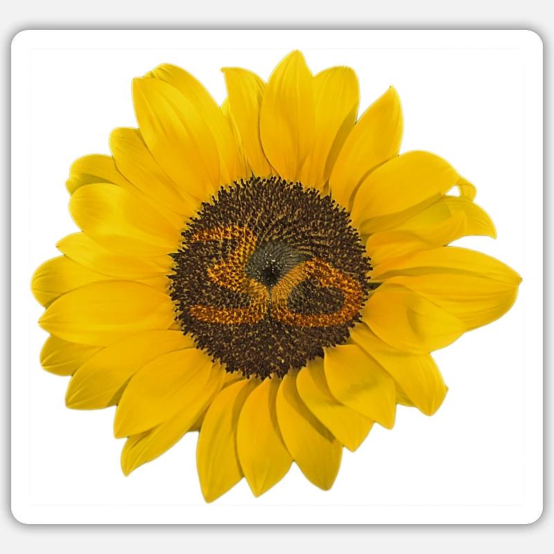 Date de naissance 30 ans Sticker taille S (10 x 10 cm)