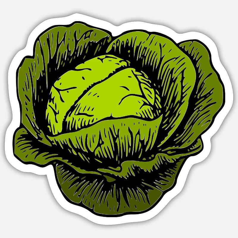 cabbage red cabbage white cabbage cabbage kale veggie gemuese Sticker size S (10 x 10 cm)