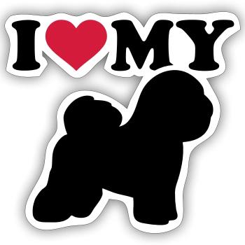 Bichon Frise - Sticker taille S (10 x 10 cm) - blanc mat - Devant