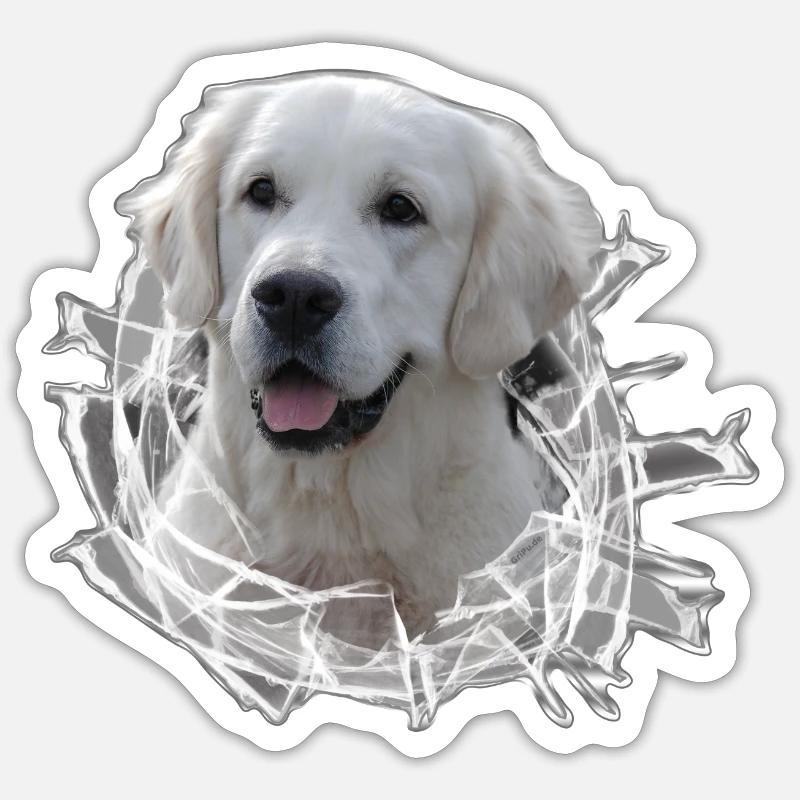 Golden Retriever (biały) w szklanej dziurze Naklejka rozmiar S (10 x 10 cm)