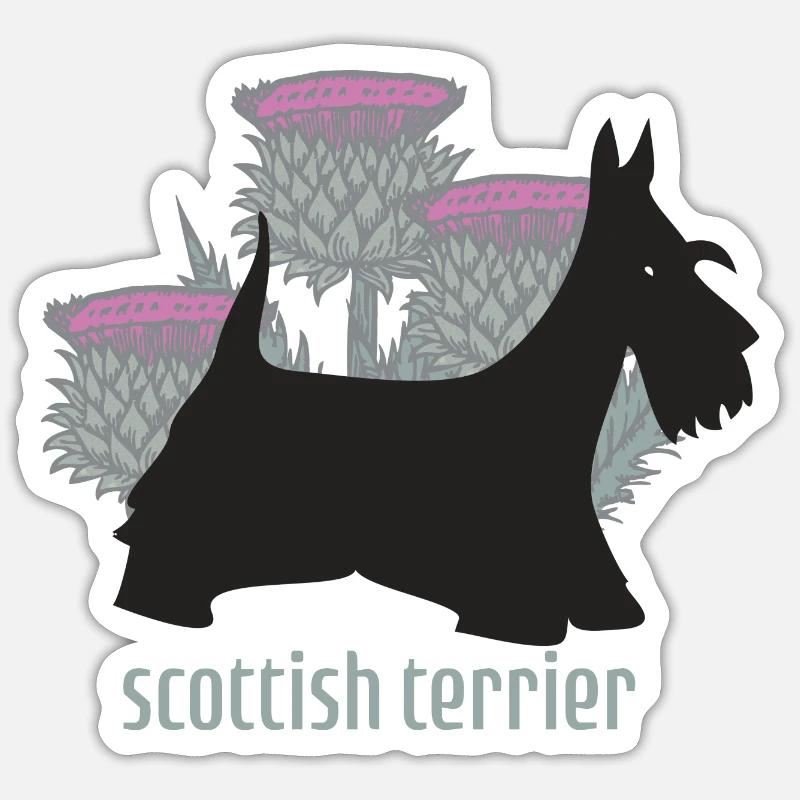 Scottish terrier and thistles - Sticker size S (10 x 10 cm) - white matte