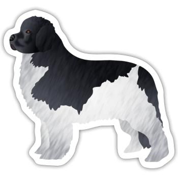 Chien de Terre-Neuve - Sticker taille S (10 x 10 cm) - blanc mat - Devant