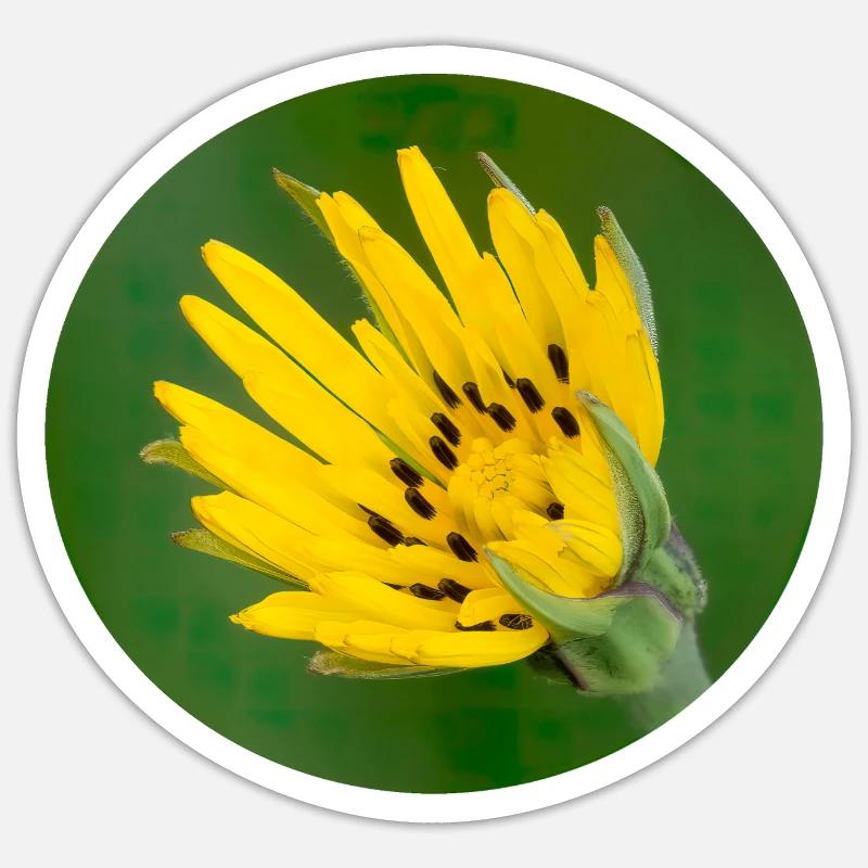Flower - Sticker size S (10 x 10 cm) - white matte