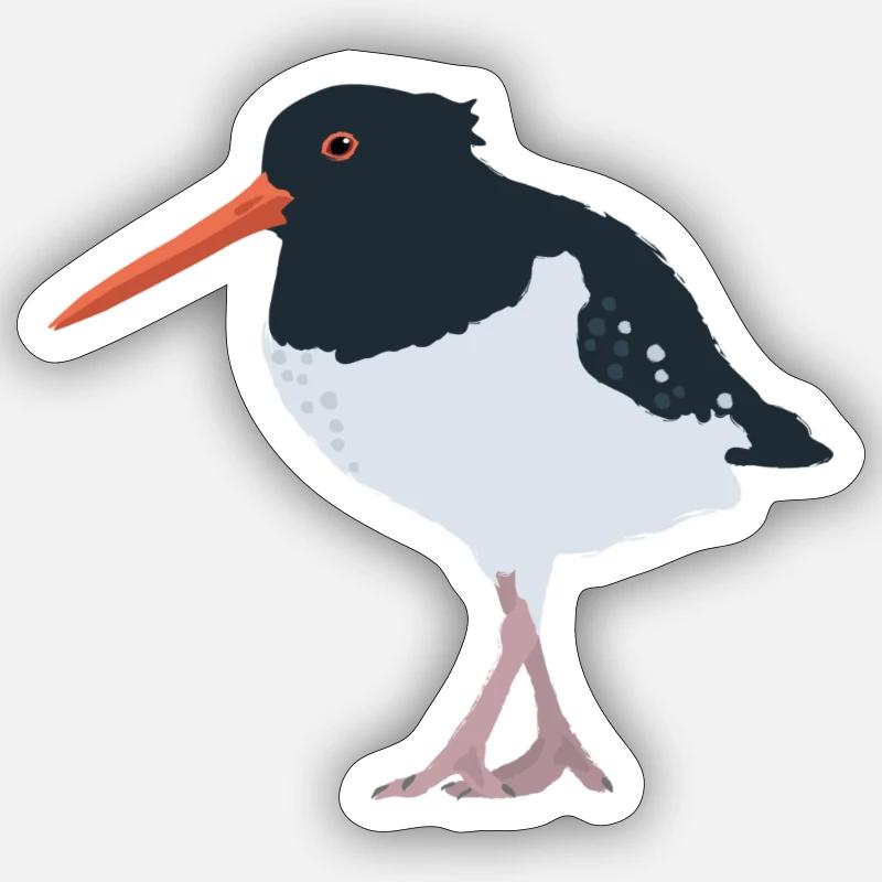 Oystercatcher illustré - Sticker taille S (10 x 10 cm) - blanc mat