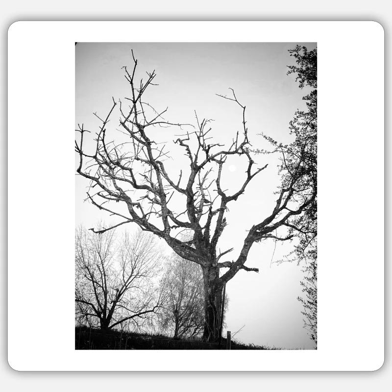 Full moon tree Sticker Größe S (10 x 10 cm)