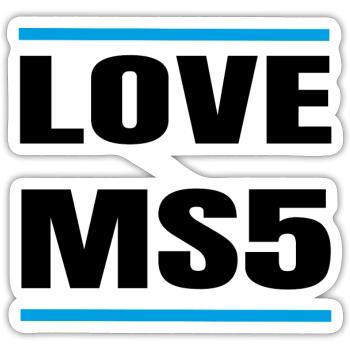 Mein Schiff 5 Liebe Shirt - Sticker Größe S (10 x 10 cm) - Mattweiß - Vorne