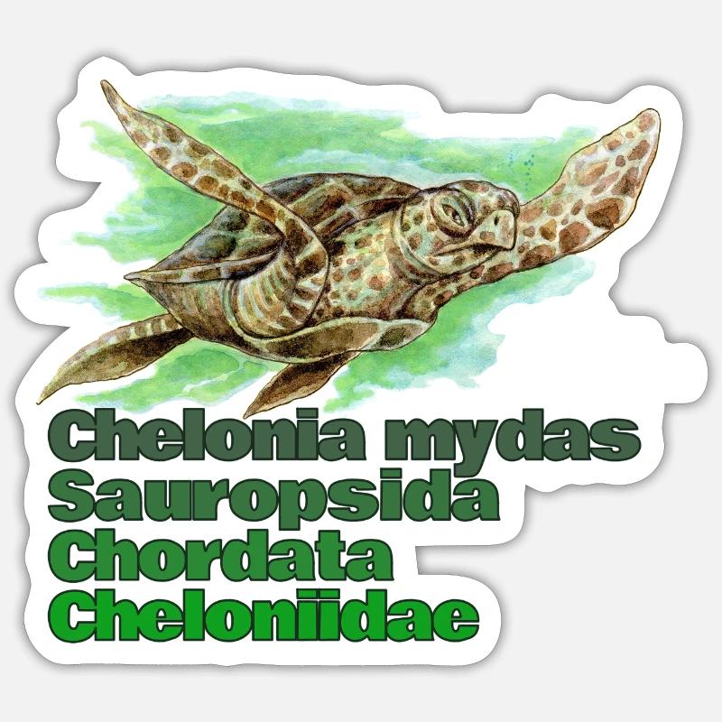 GREEN SEA TURTLE - Sticker size S (10 x 10 cm) - white matte