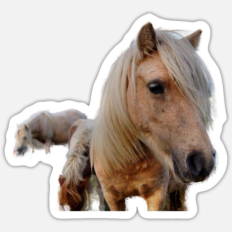 Pferde auf der Weide - Sticker Größe S (10 x 10 cm) - Mattweiß