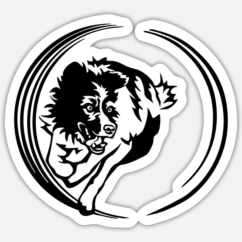 Border Collie - Sticker taille S (10 x 10 cm) - blanc mat