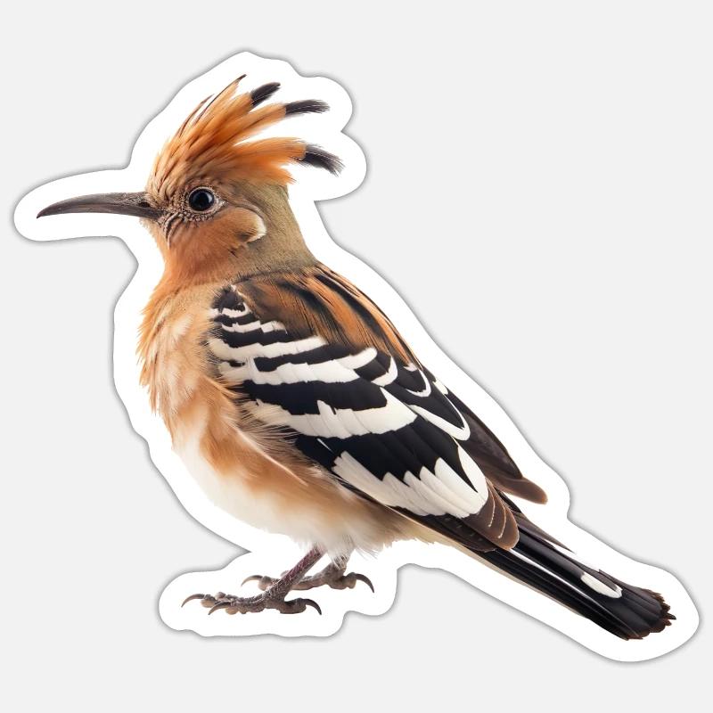 The hoopoe has a distinctive crest Sticker size S (10 x 10 cm)