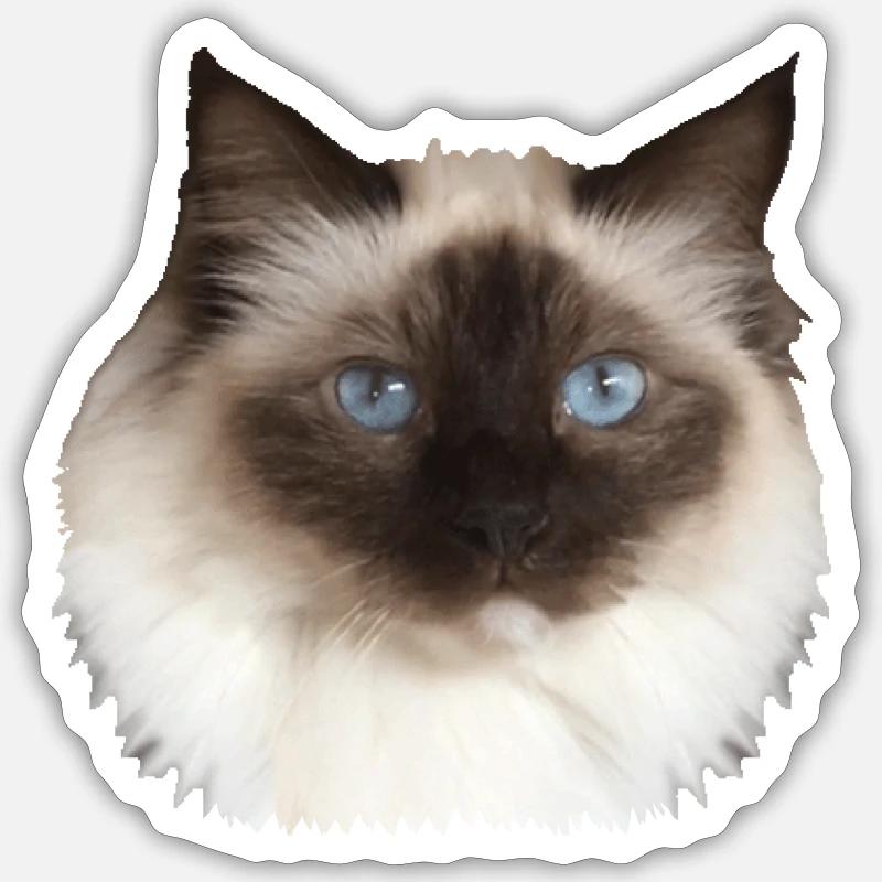 Fluffy Kitty Sticker size S (10 x 10 cm)
