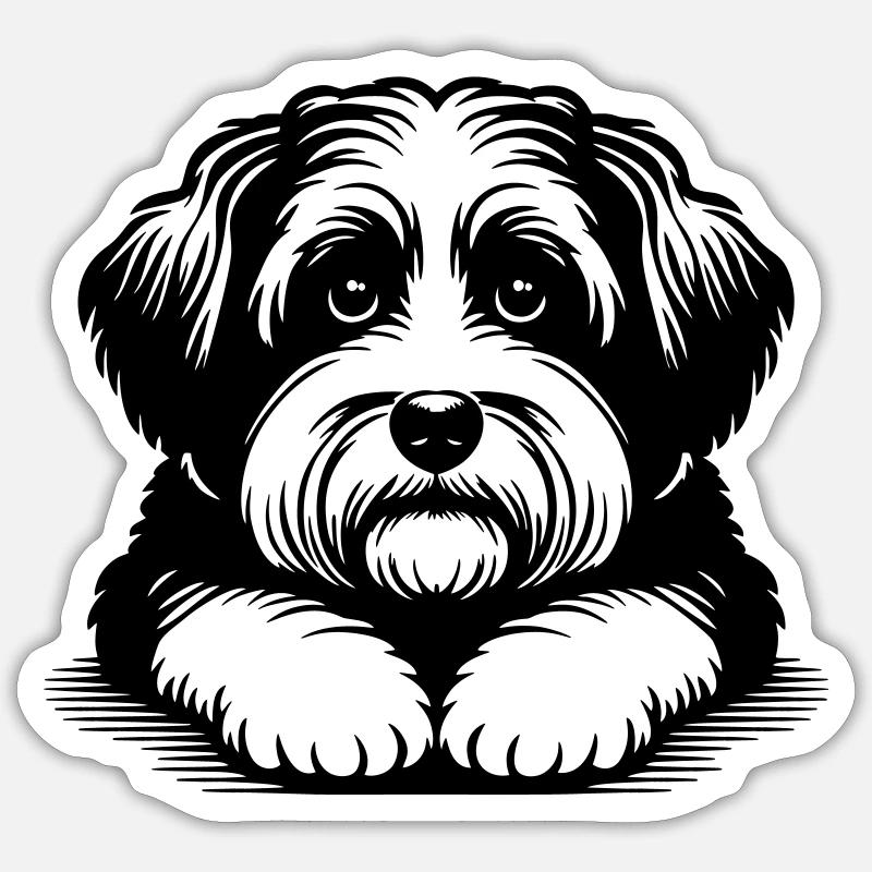 Havanese - Sticker size S (10 x 10 cm) - white matte