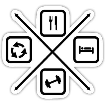 The Life Cycle of a Bodybuilder, Bodybuilding - Sticker size S (10 x 10 cm) - white matte - Front