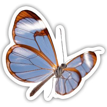 Conception transparente papillon Glasswing - Sticker taille S (10 x 10 cm) - blanc mat - Devant