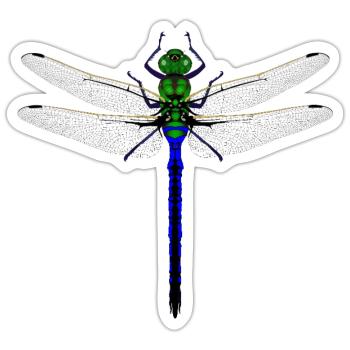 Neon Dragonfly Kybalion Combination Design Woman - Sticker size S (10 x 10 cm) - white matte - Front