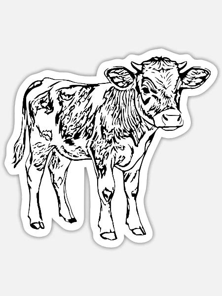 Kuh Kalb Geschenk Bauern Landwirte  - Sticker Größe S (10 x 10 cm) - Mattweiß