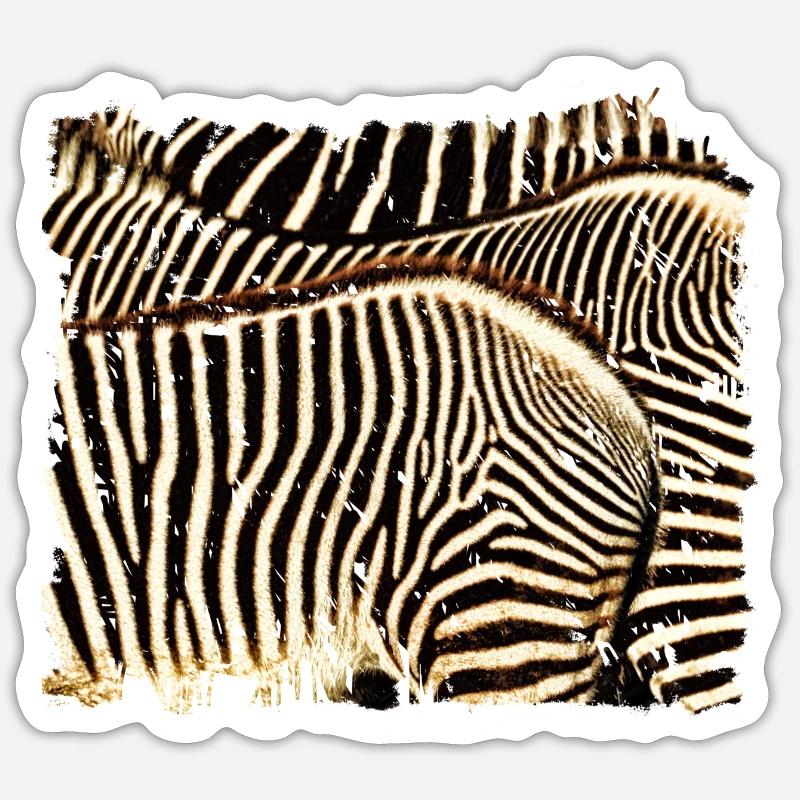 Zebra with white or black stripes? - Sticker size S (10 x 10 cm) - white matte