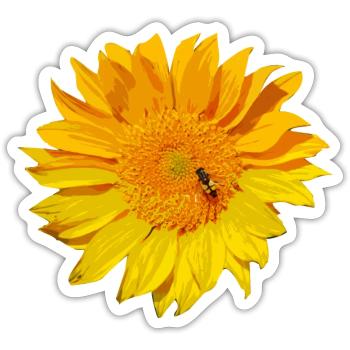 sonnenblume Biene - Sticker Größe S (10 x 10 cm) - Mattweiß - Vorne