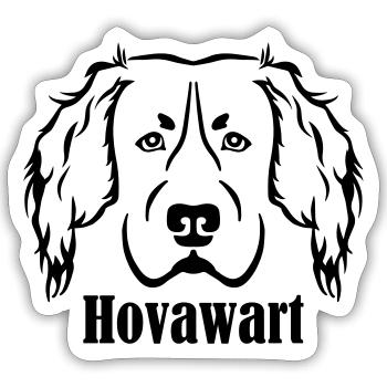 Hovawart - Sticker Größe S (10 x 10 cm) - Mattweiß - Vorne