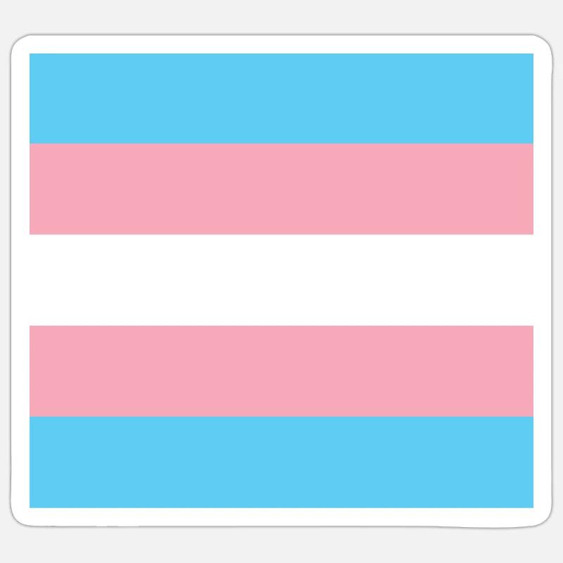 Fierté transgenre - Sticker taille S (10 x 10 cm) - blanc mat