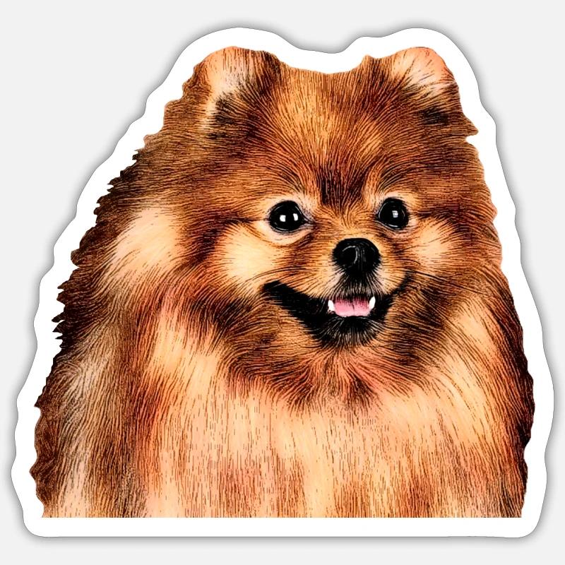 Deutscher Spitz Sticker Größe S (10 x 10 cm)